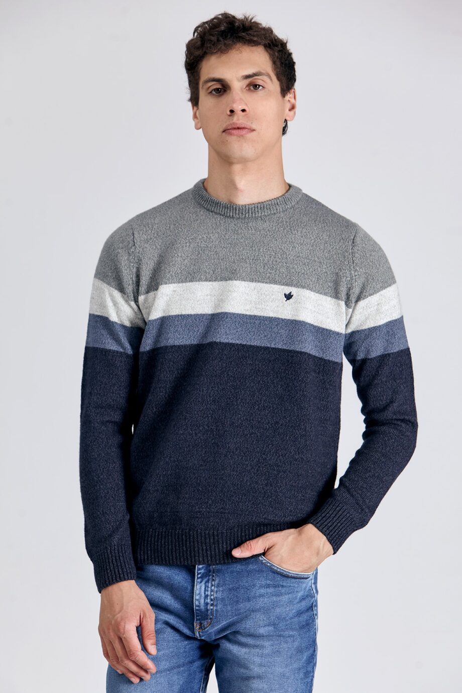 Sweater escote redondo a rayas