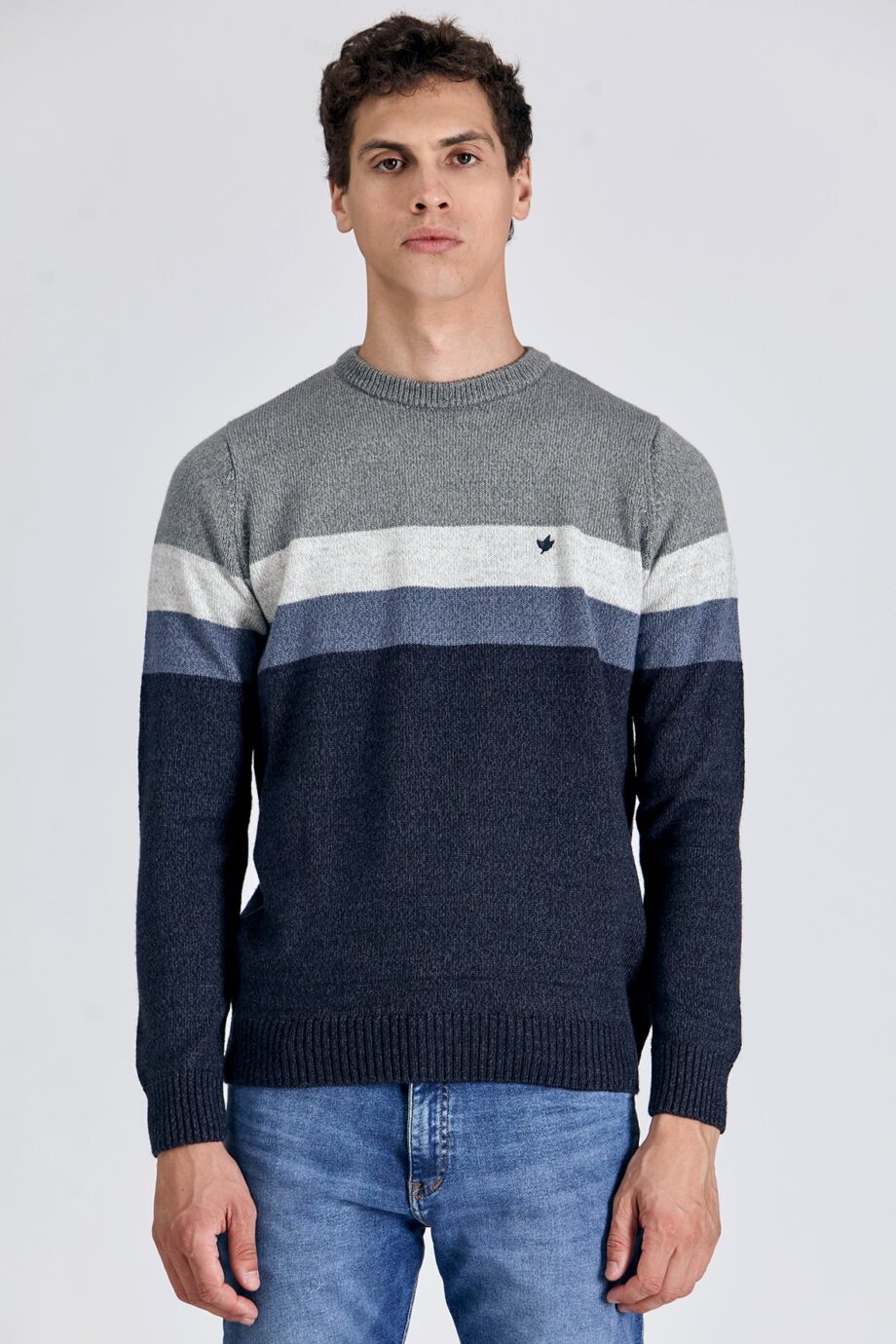 Sweater escote redondo a rayas