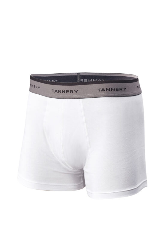 Boxer liso