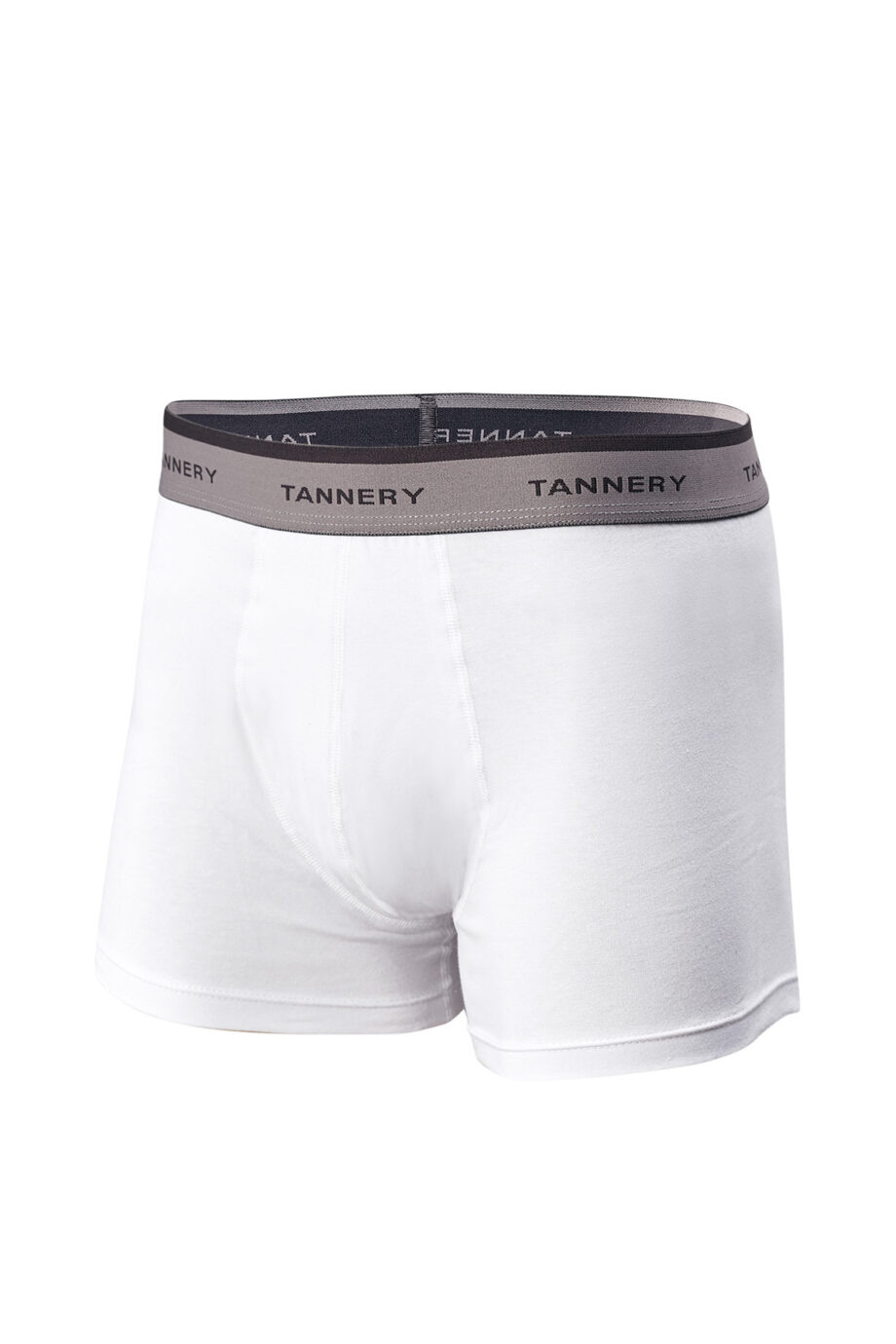 Boxer liso