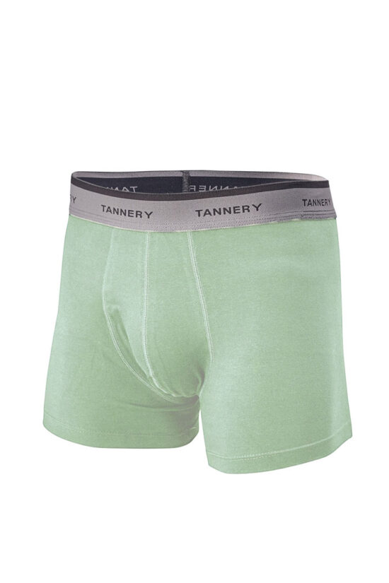 Boxer liso