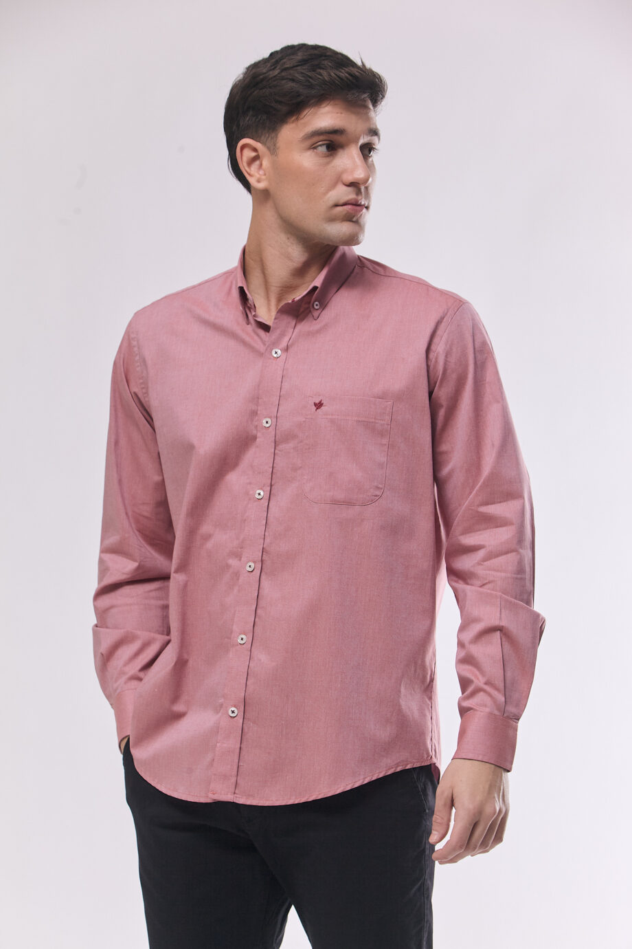 Camisa lisa regular fit de fil a fil