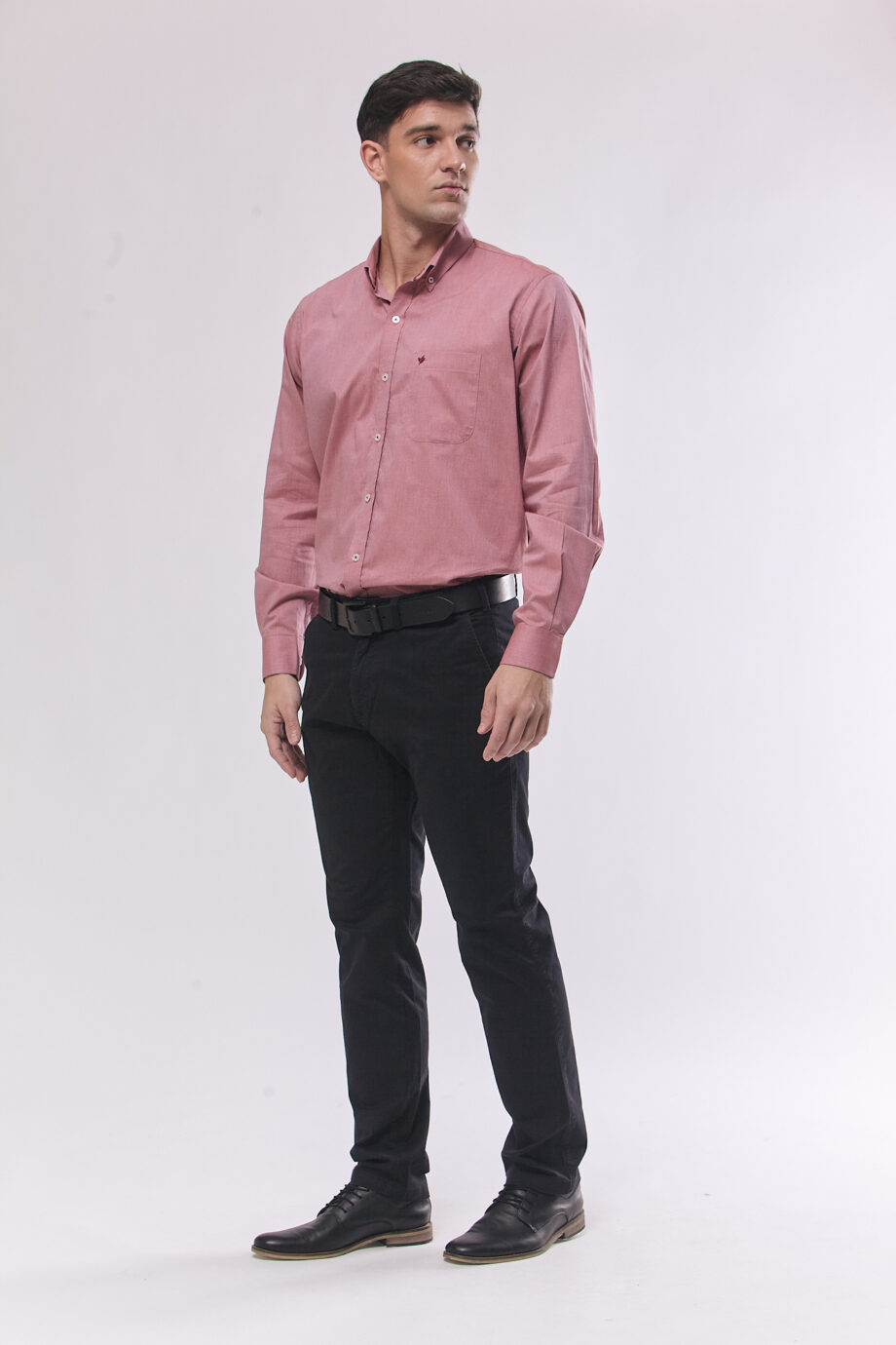 Camisa lisa regular fit de fil a fil