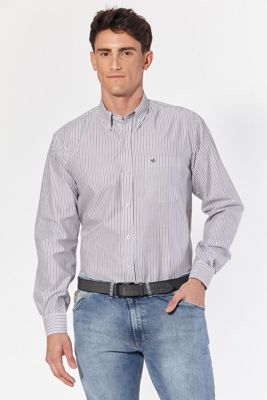 Camisa regular fit a rayas