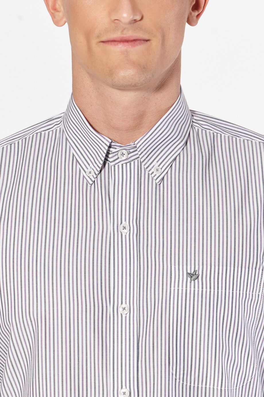 Camisa regular fit a rayas