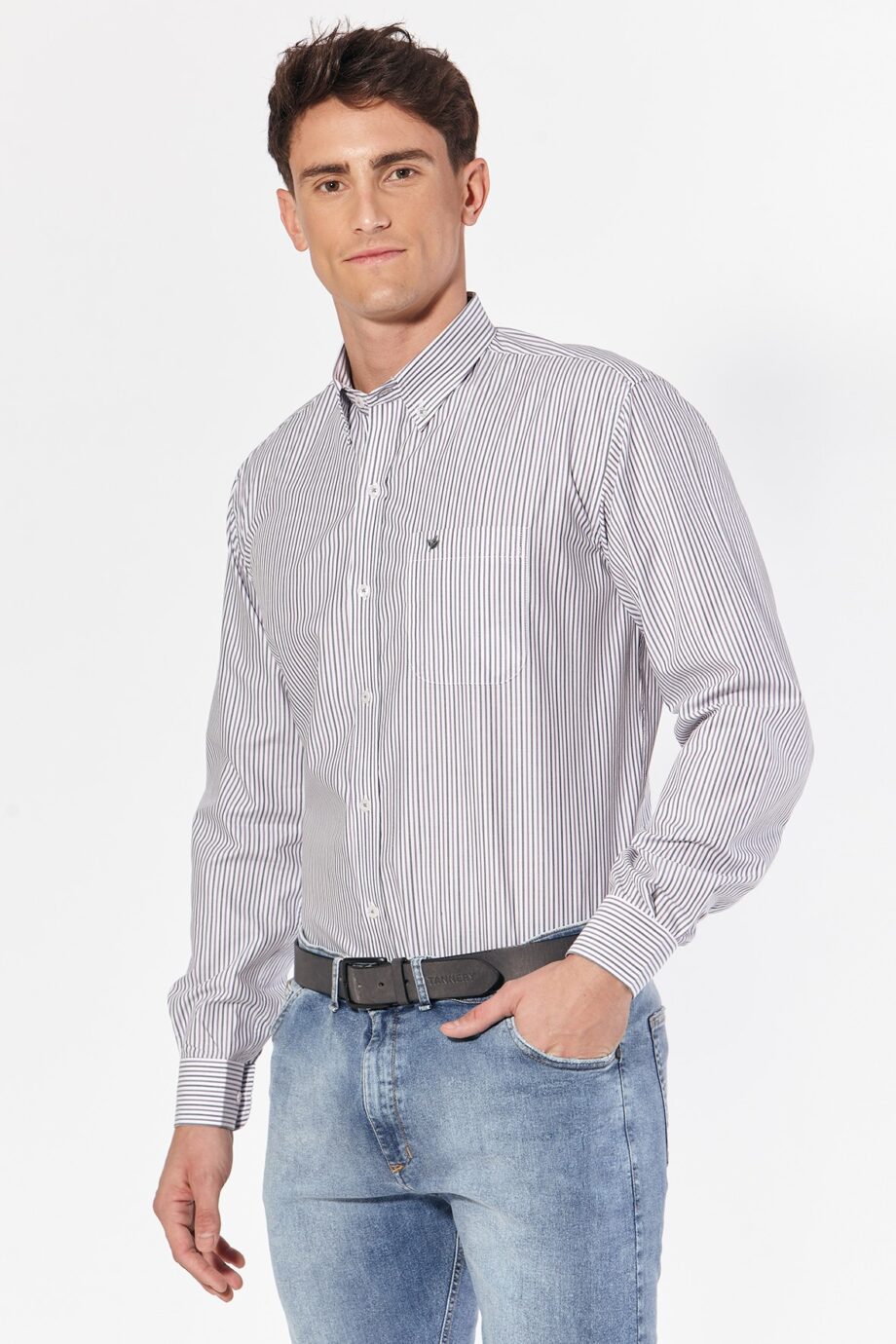 Camisa regular fit a rayas