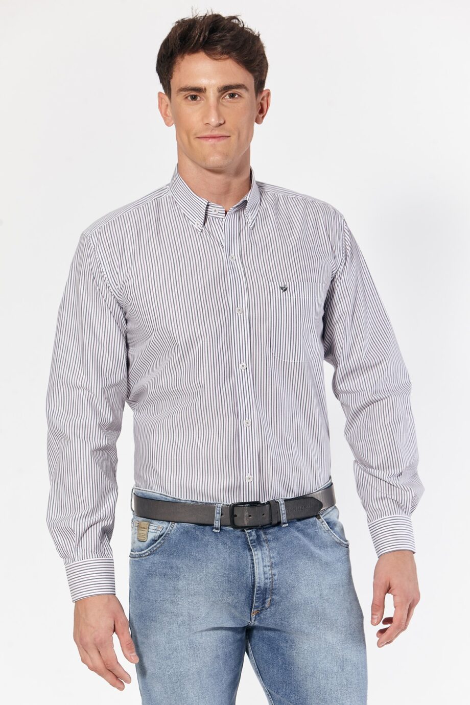 Camisa regular fit a rayas