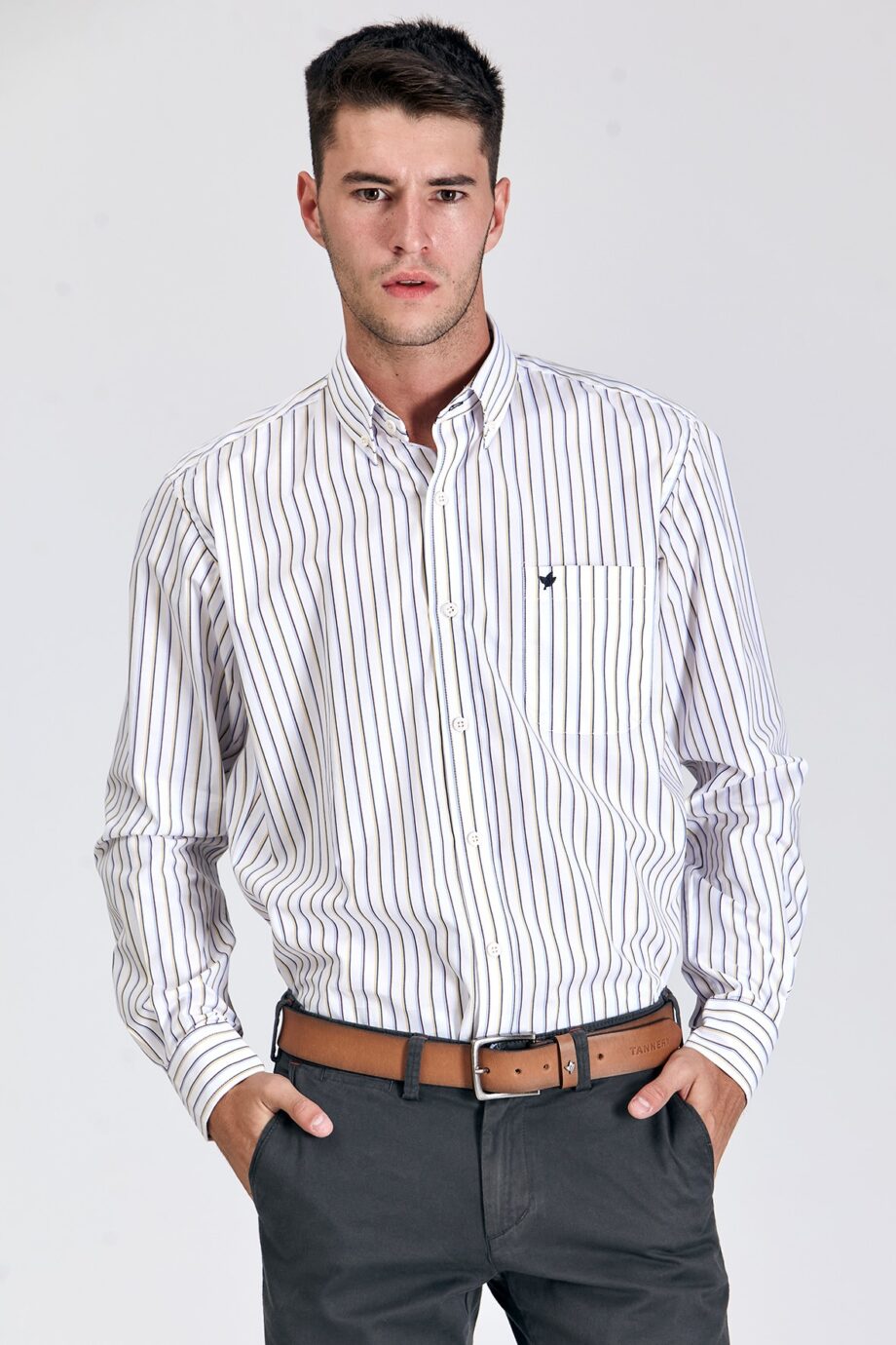 Camisa regular fit a rayas