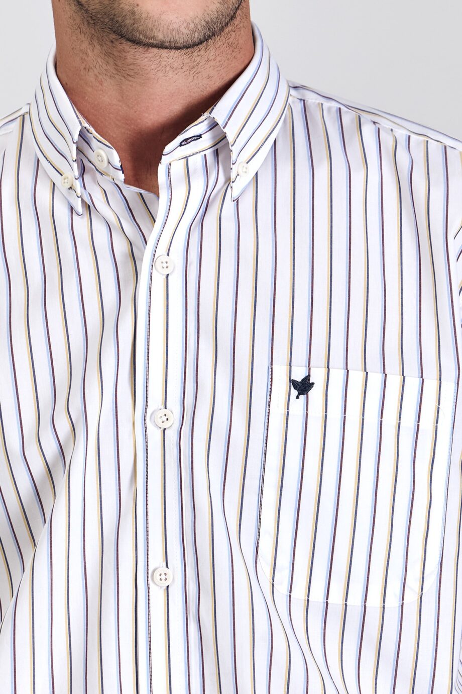 Camisa regular fit a rayas