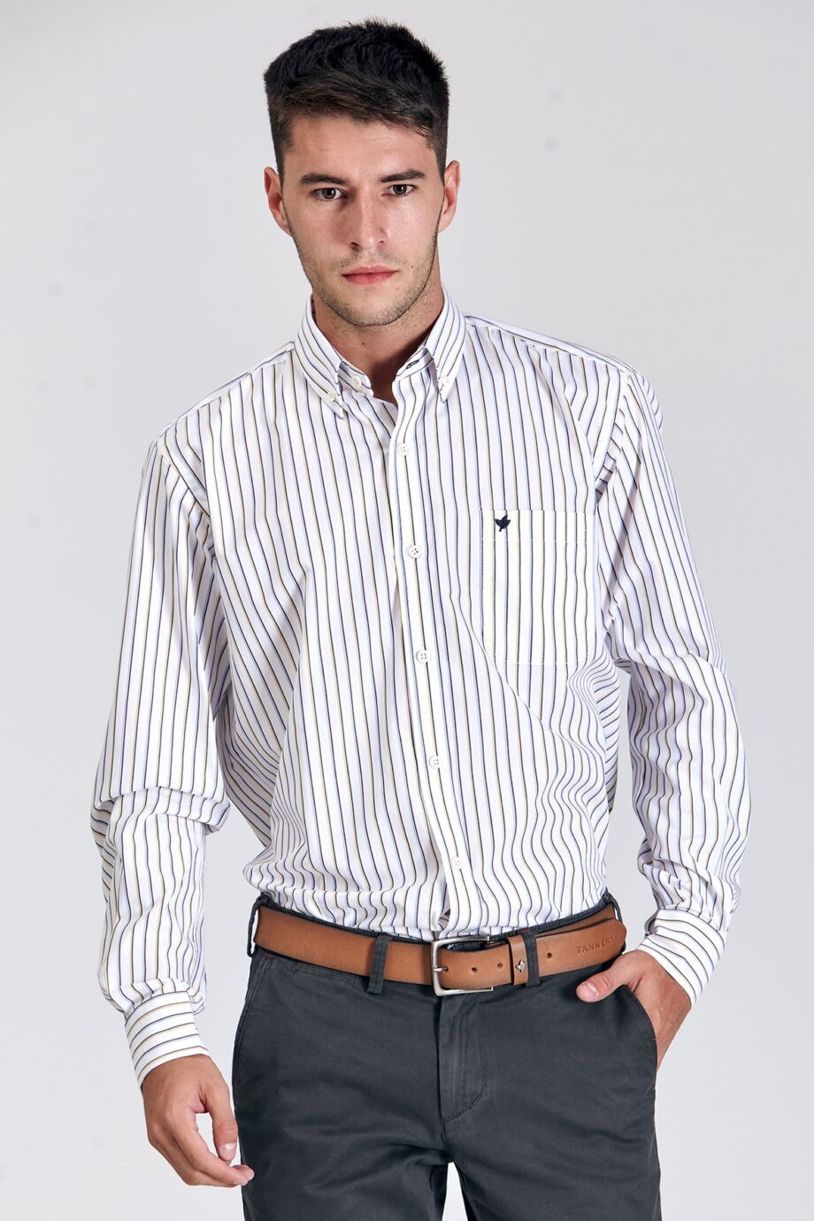 Camisa regular fit a rayas