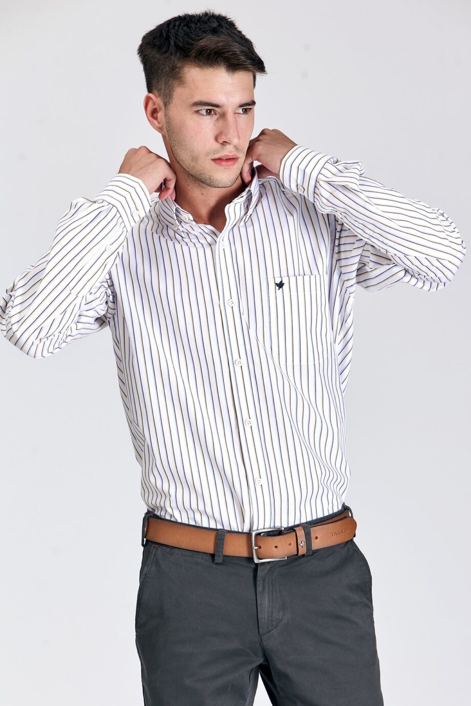 Camisa regular fit a rayas