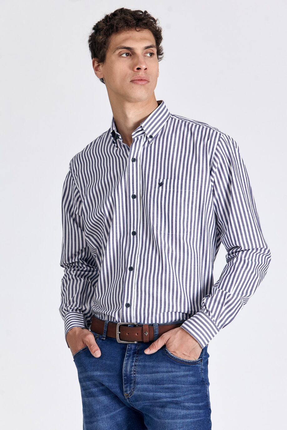 Camisa regular fit a rayas