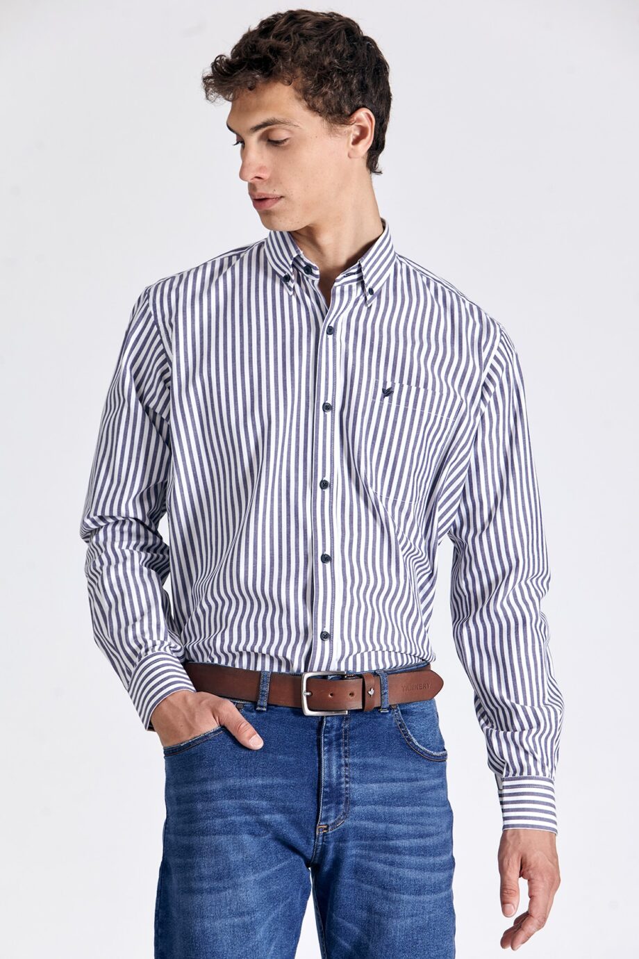 Camisa regular fit a rayas