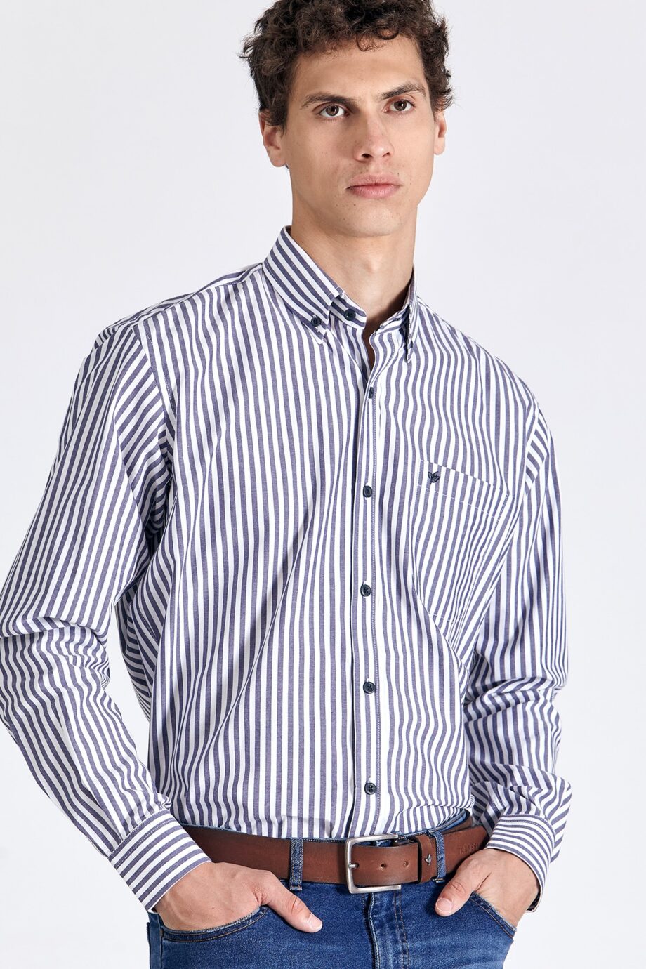 Camisa regular fit a rayas