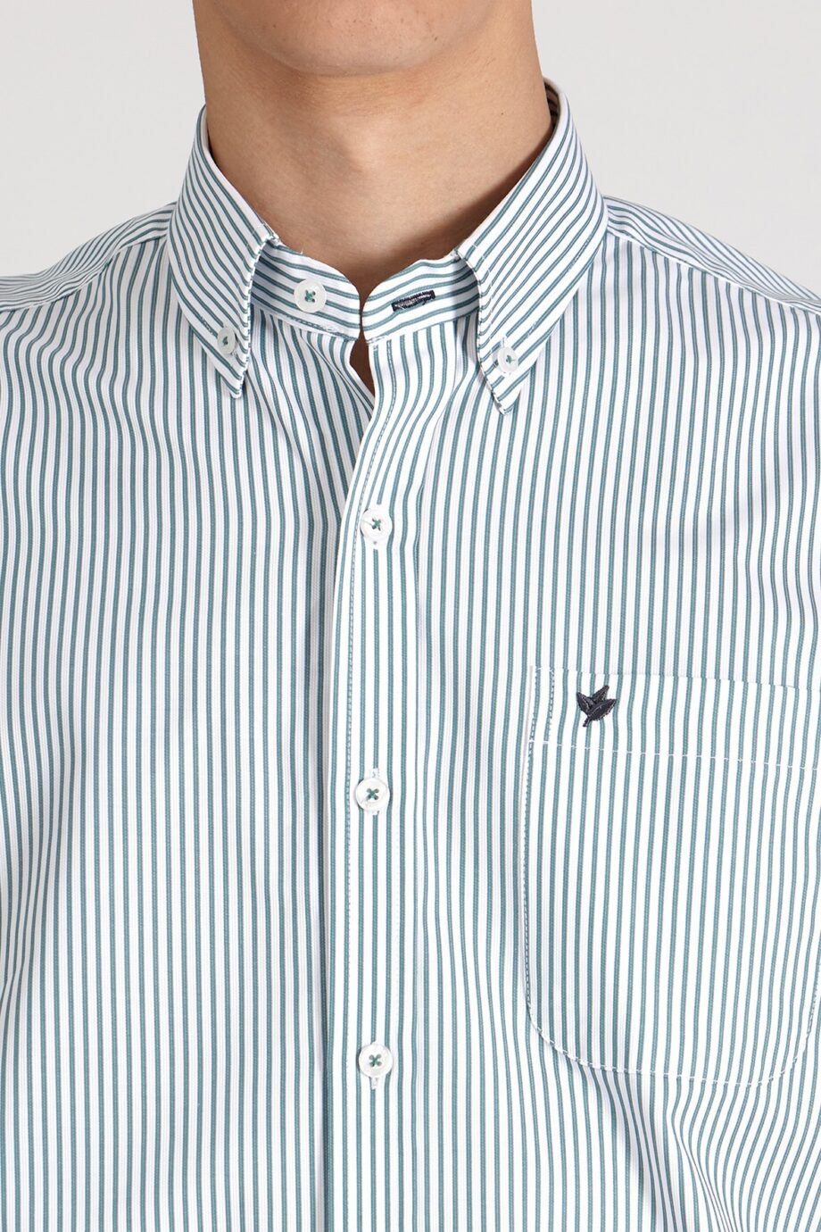 Camisa regular fit a rayas