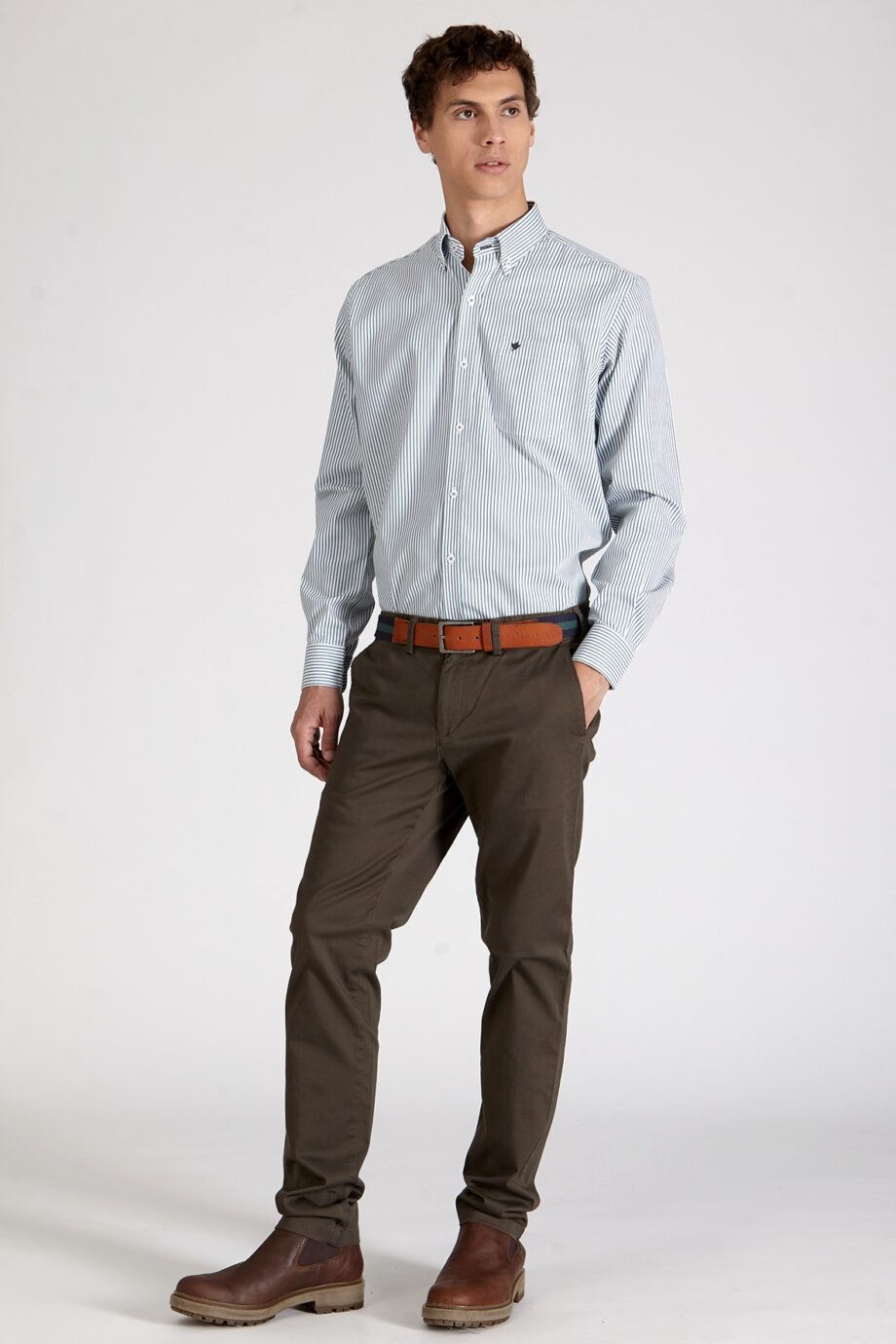 Camisa regular fit a rayas