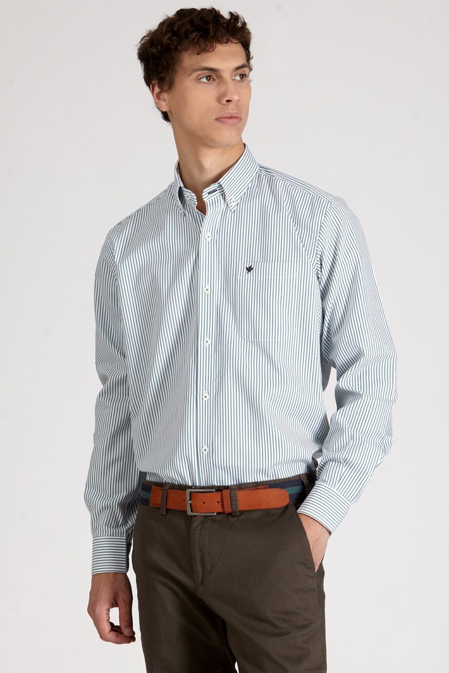 Camisa regular fit a rayas