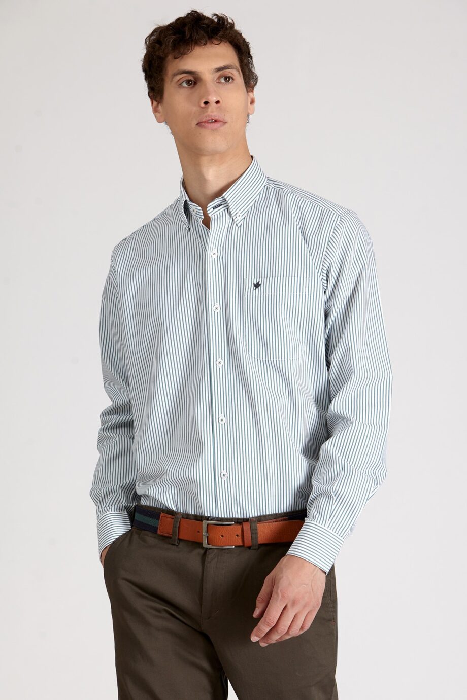 Camisa regular fit a rayas