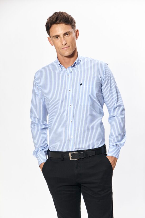 Camisa regular fit a rayas