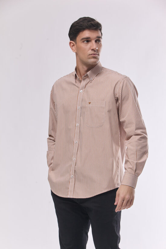 Camisa regular fit a rayas