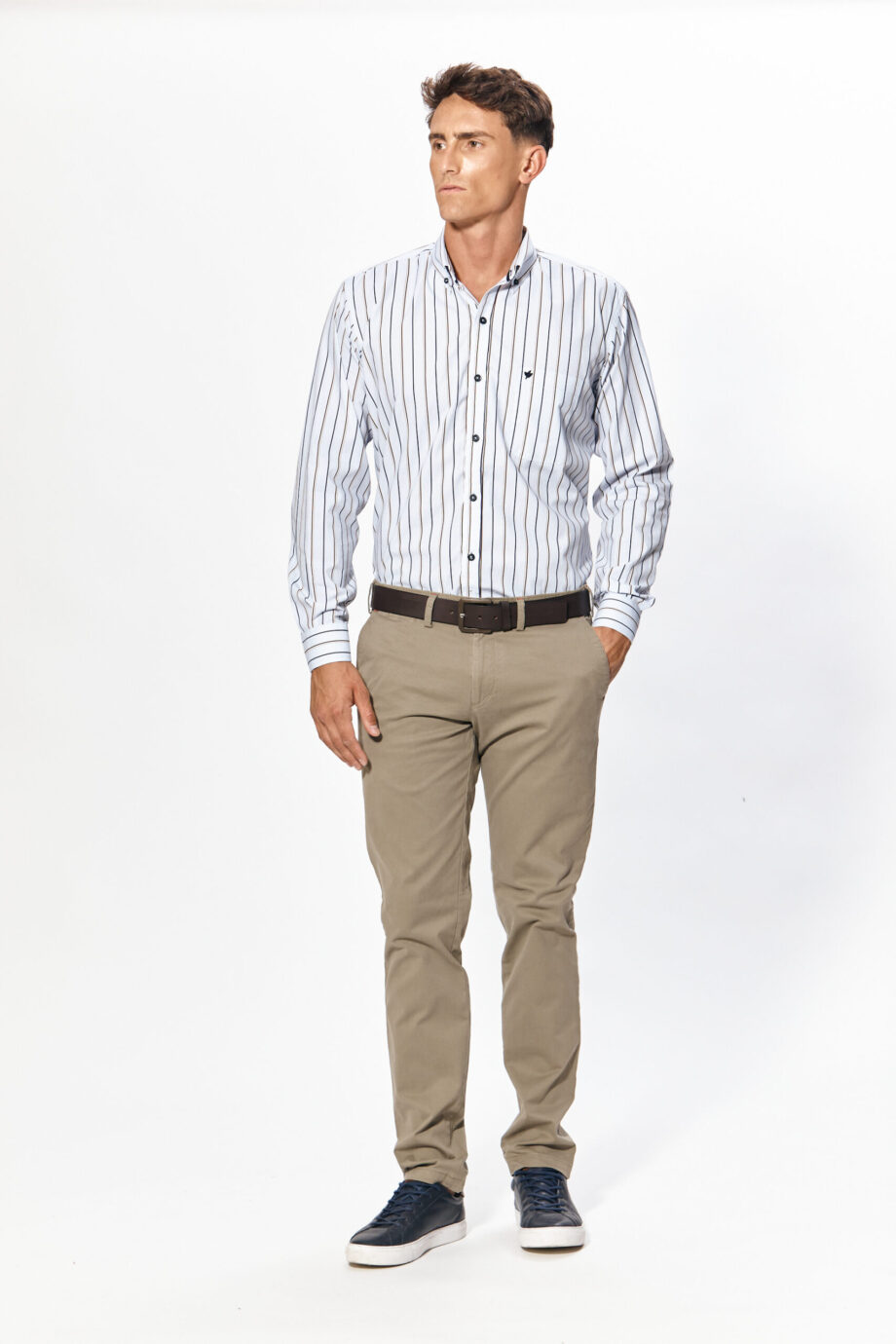 Camisa regular fit a rayas