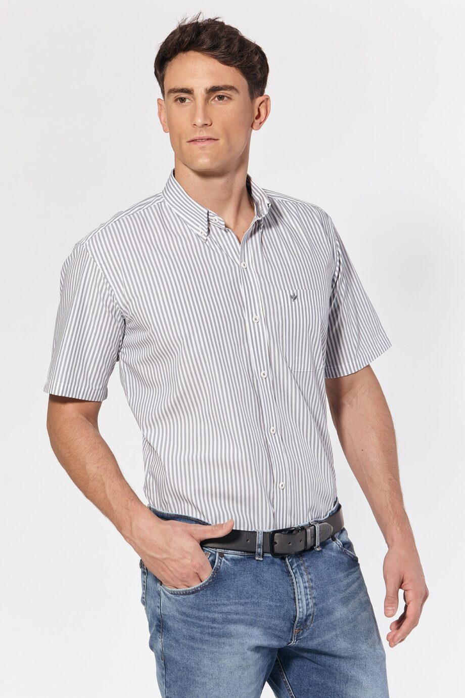 Camisa regular fit a rayas