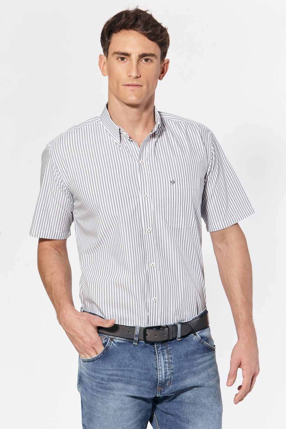 Camisa regular fit a rayas