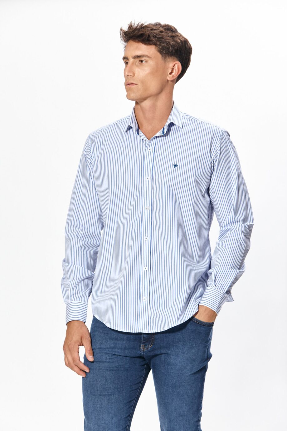 Camisa slim fit a rayas