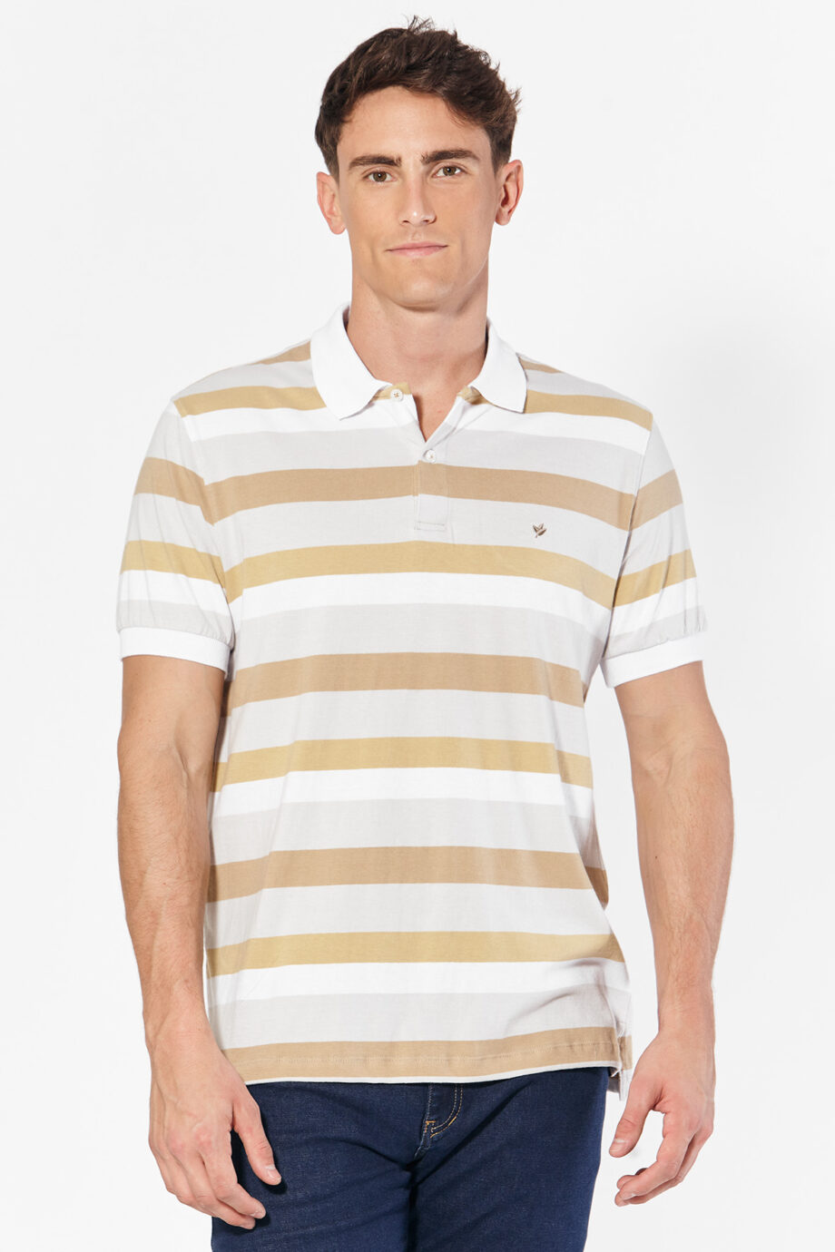 Polo rayada de jersey