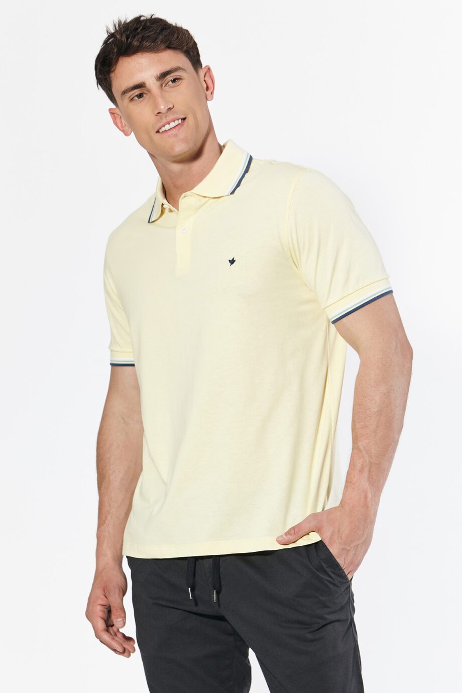 Polo 3 vivos de jersey peruano
