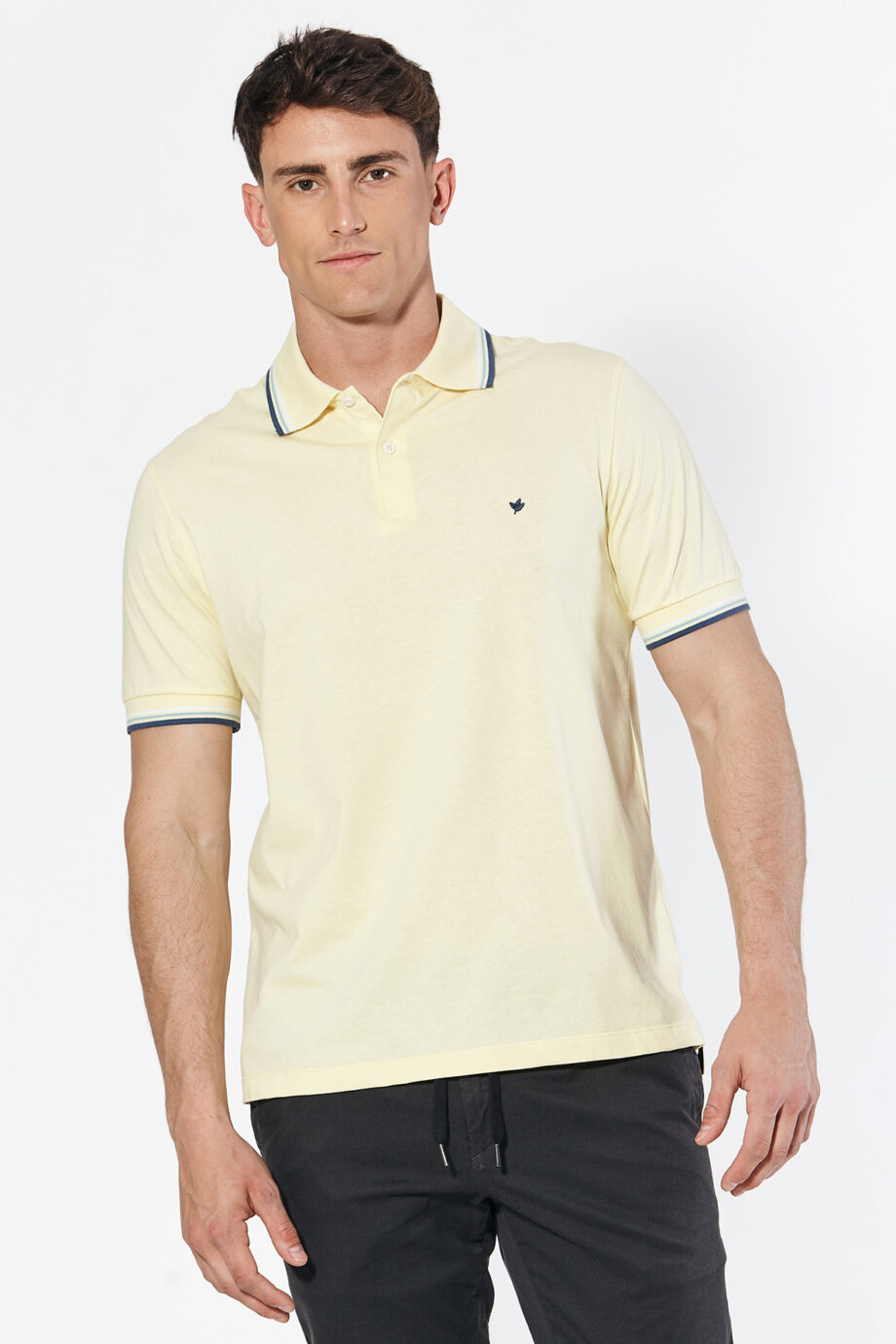 Polo 3 vivos de jersey peruano