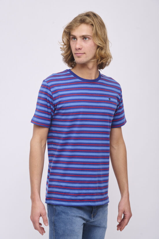 Remera rayada