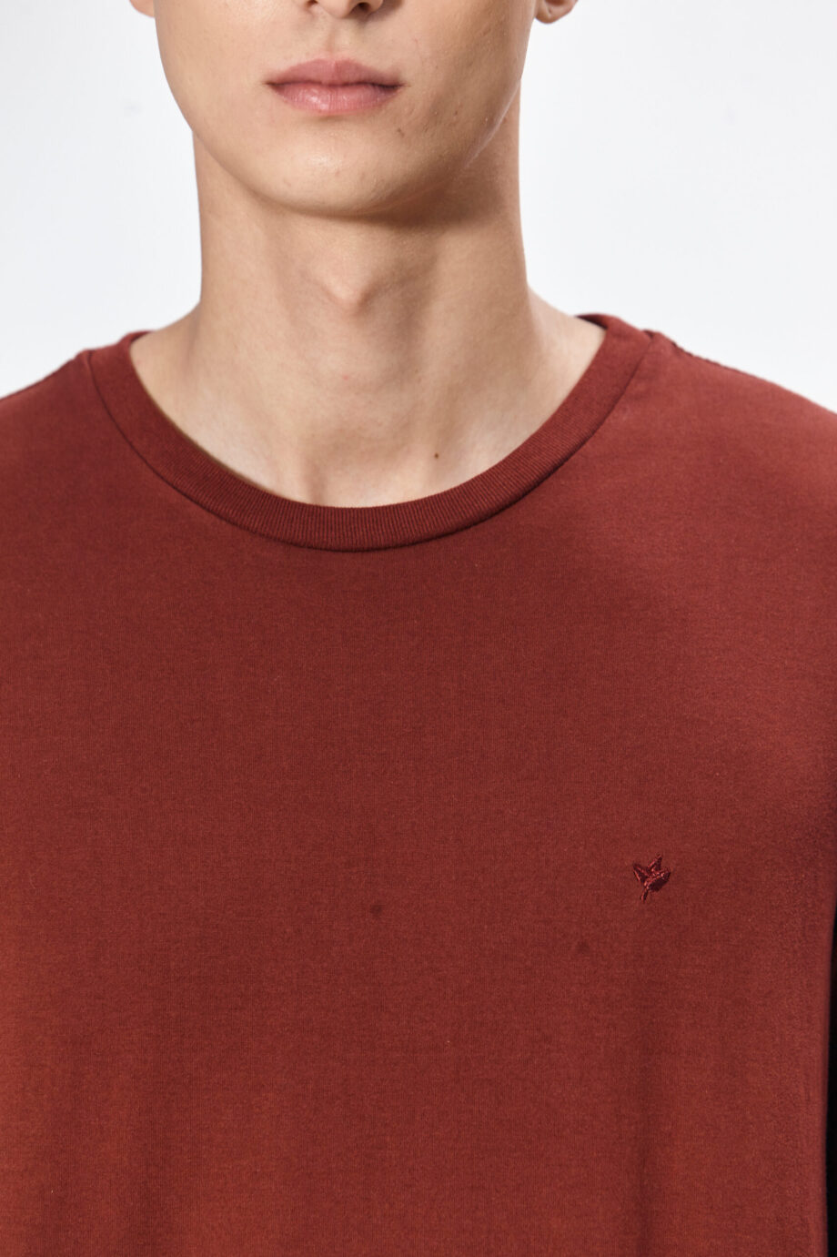 Remera lisa de jersey