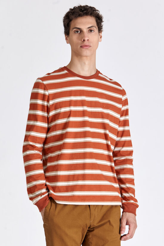 Remera escote O a rayas de jersey