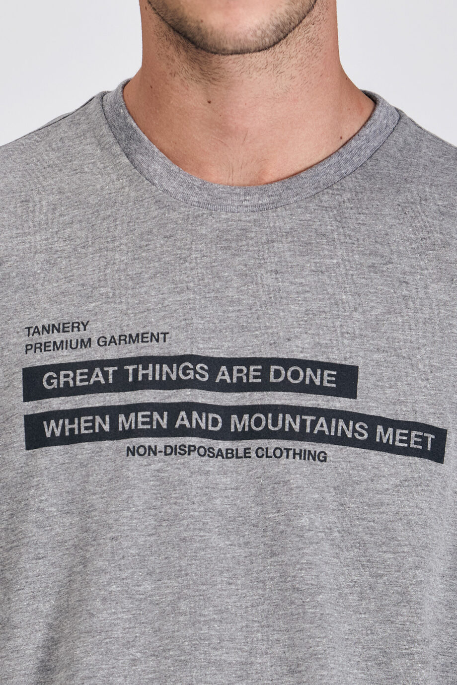 Remera Mountains de jersey